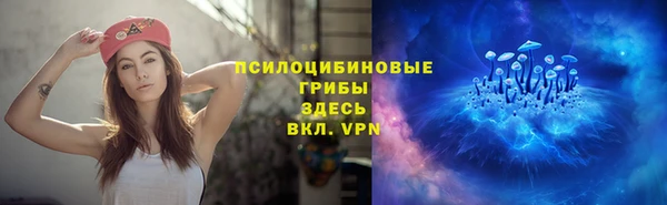 прущие крисы Абинск