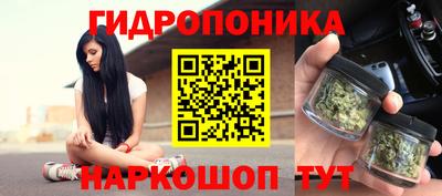 ECSTASY Лесосибирск