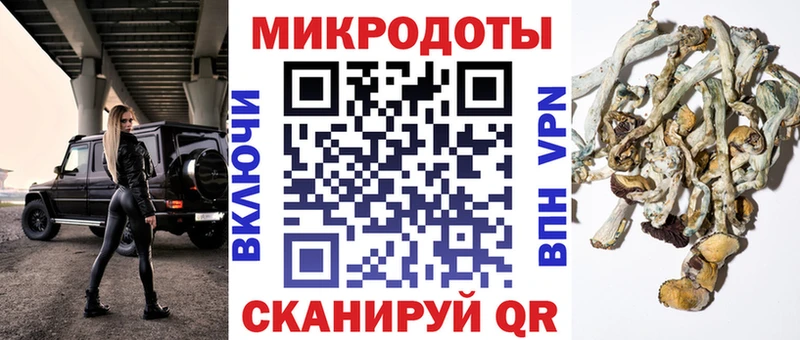 Галлюциногенные грибы Magic Shrooms  Дивногорск 